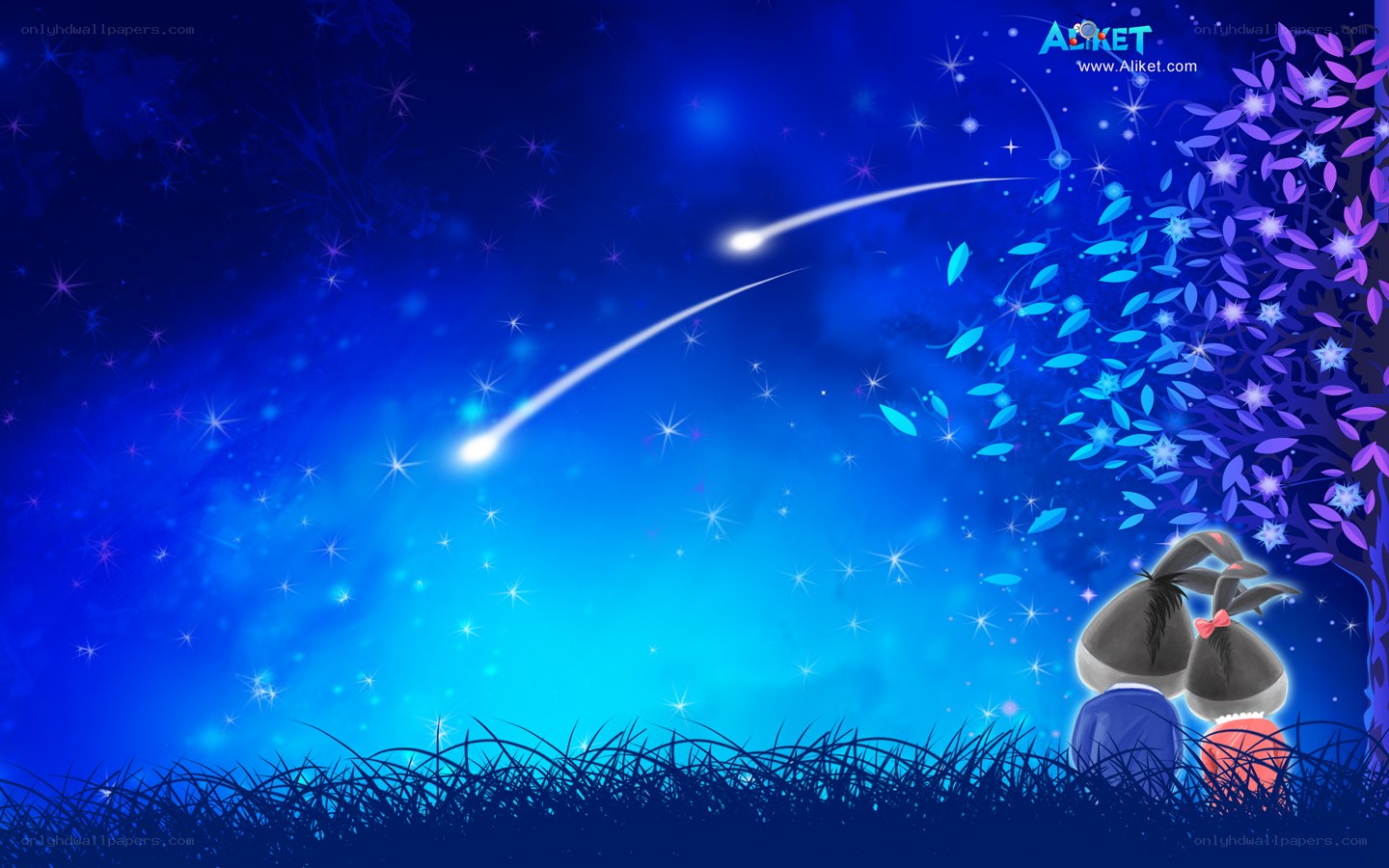 couple watching shooting stars