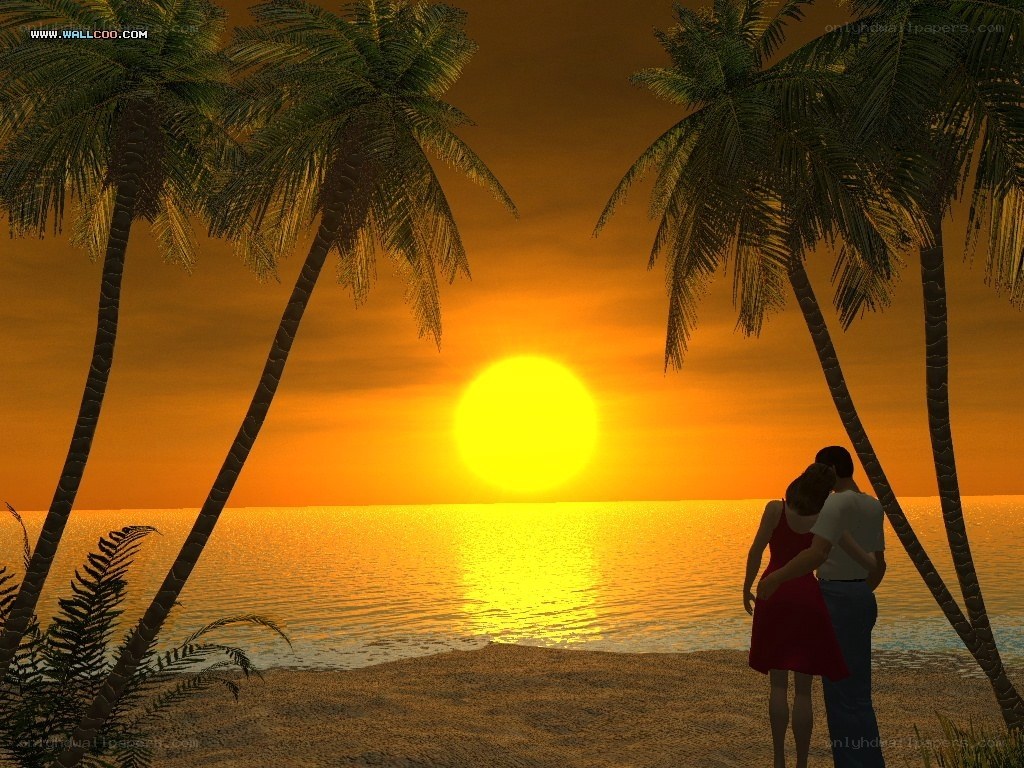 Couple watching sunset on beach