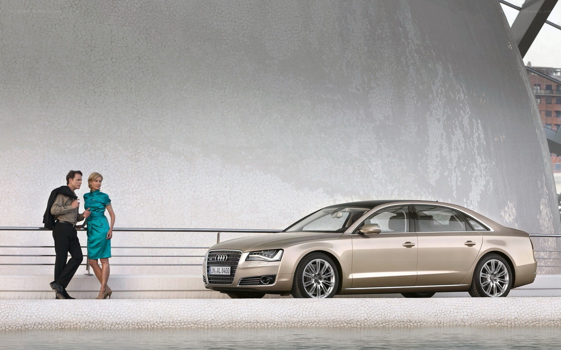 Couple with Audi sedan