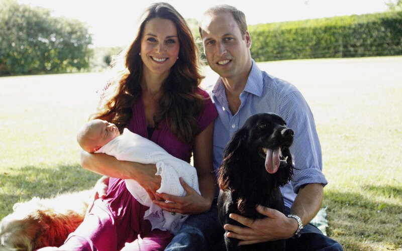 Couple with Baby and Dog