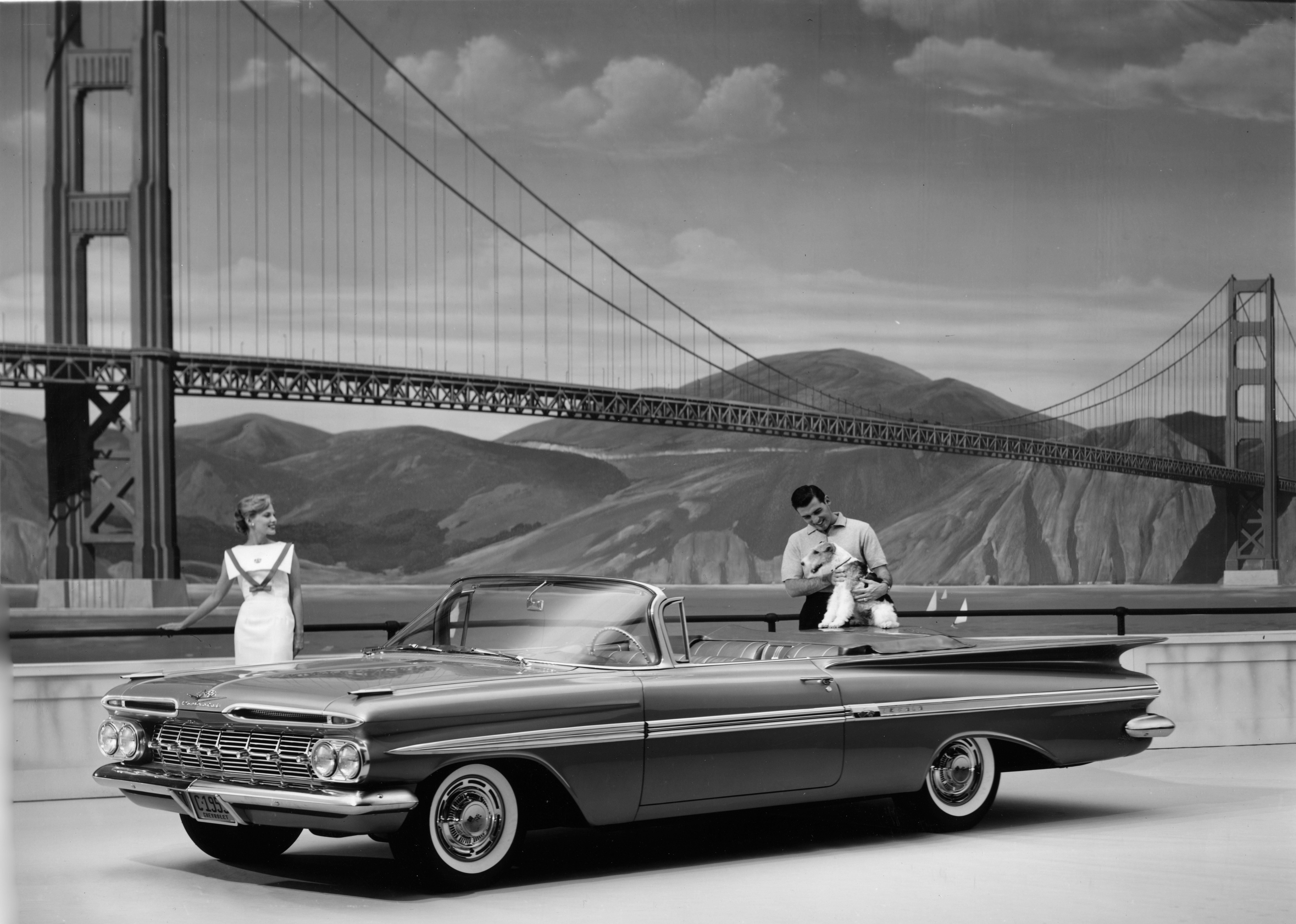 Couple with car and dog