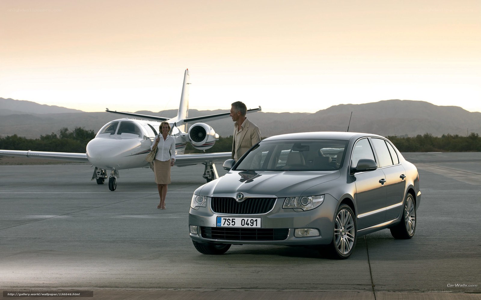 Couple with car and private jet