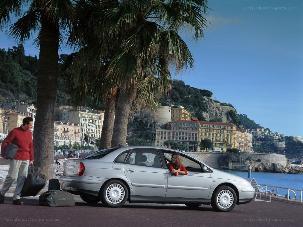 Couple with car by the sea