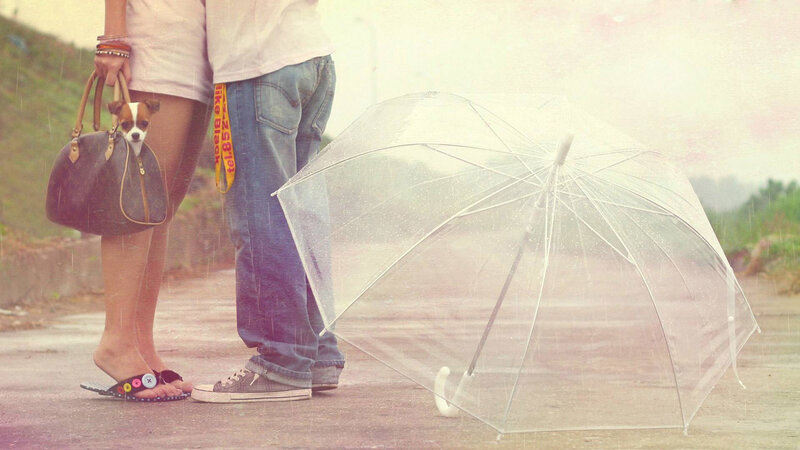 Couple with Dog in Rain — Gray