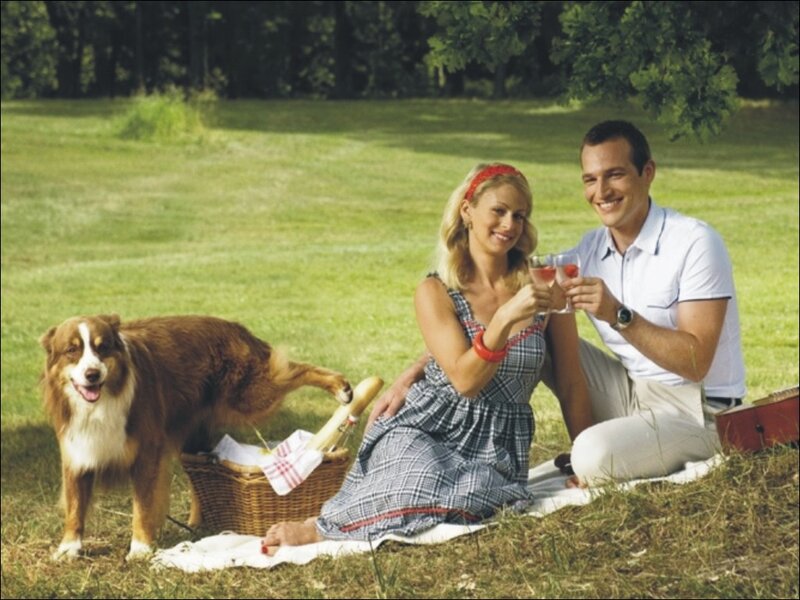 Couple with Dog on Picnic