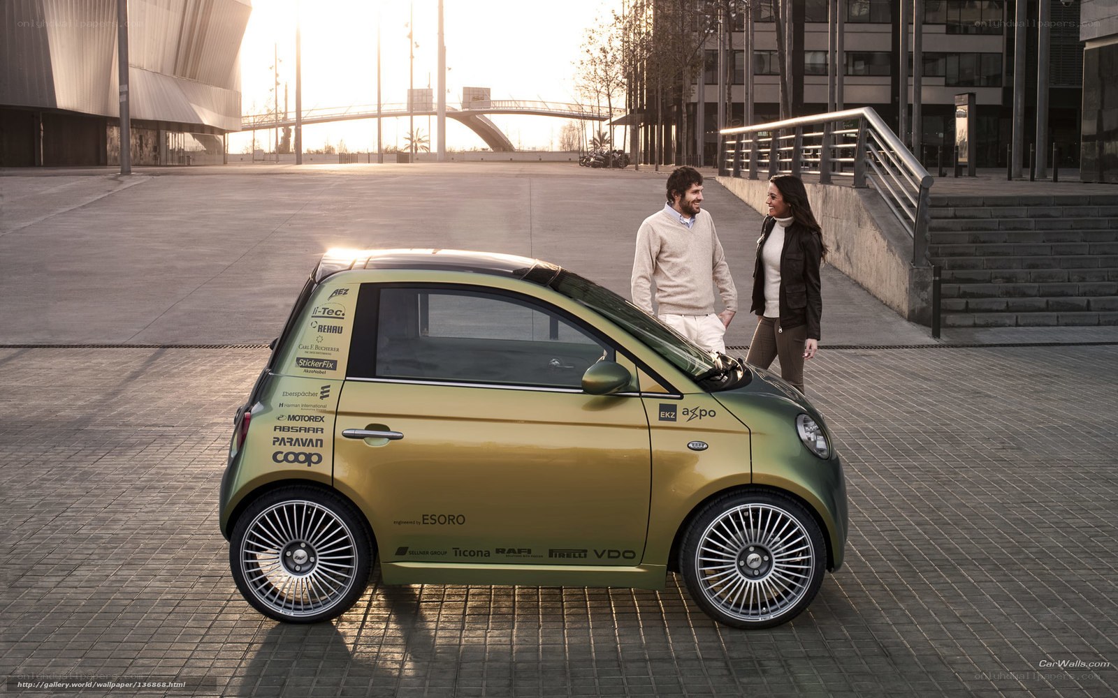 Couple with green electric car