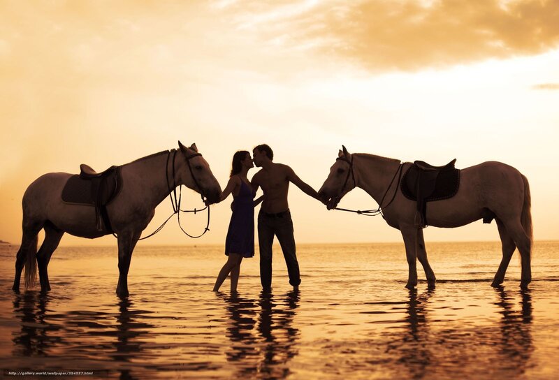 Couple with Horses — Gold, Serene, Sunset