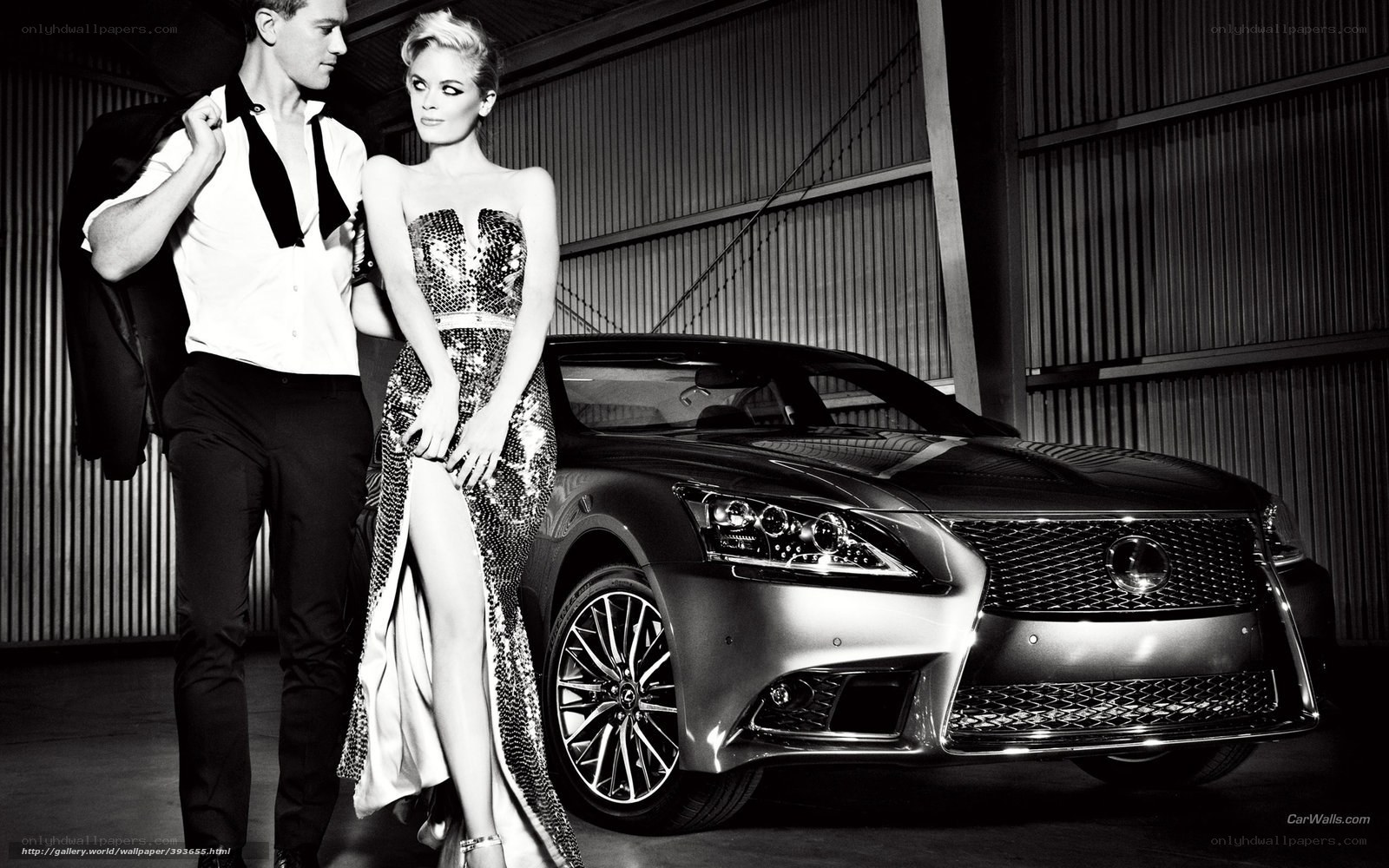 Couple with luxury car