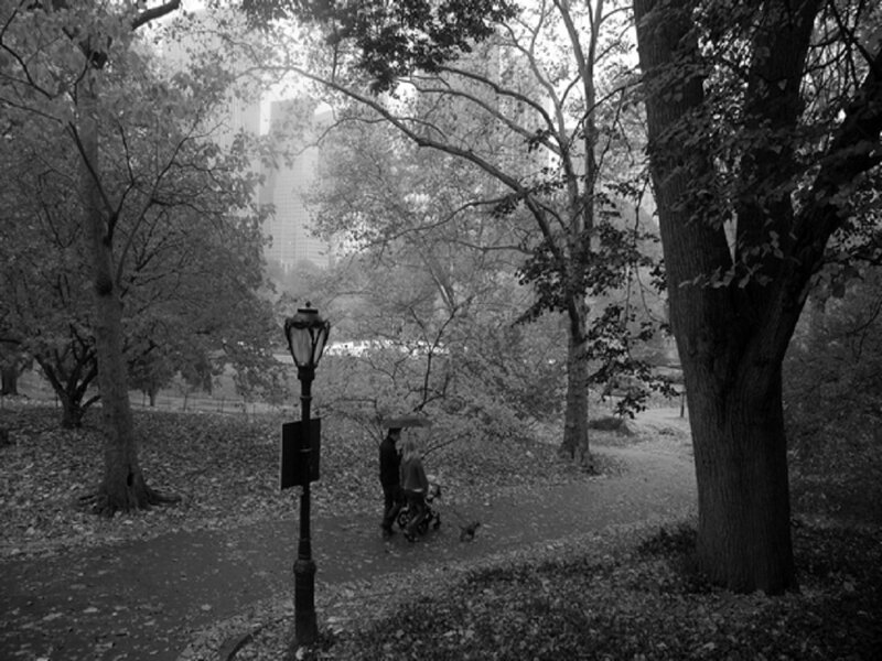 Couple with Stroller in Park