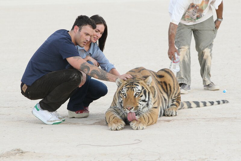 Couple with tiger cub