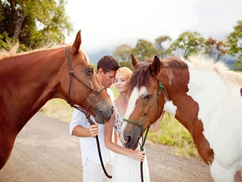 Couple with Two Horses