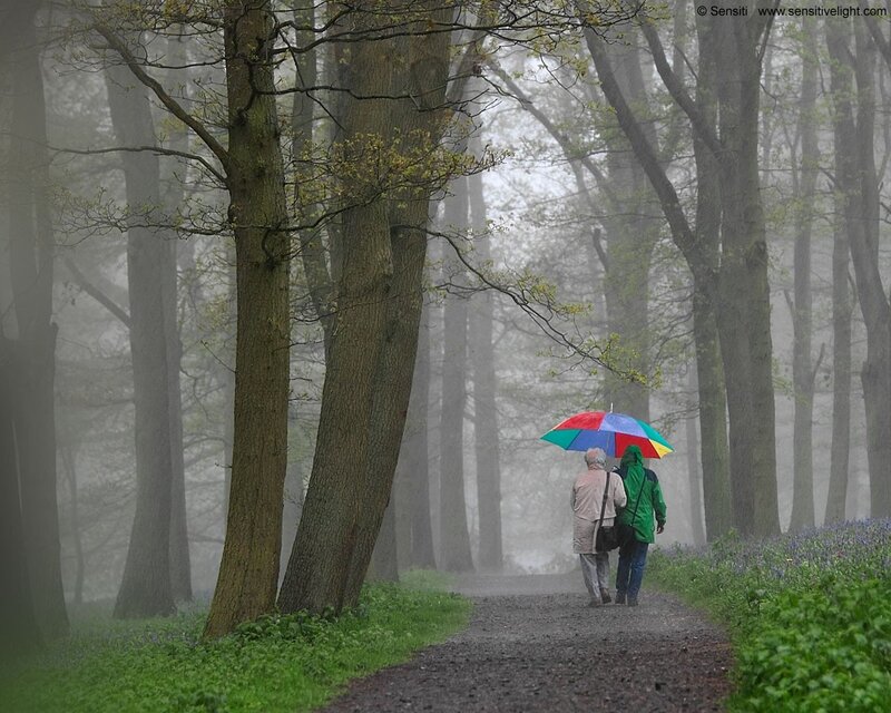 Couple with Umbrella — Green, Misty