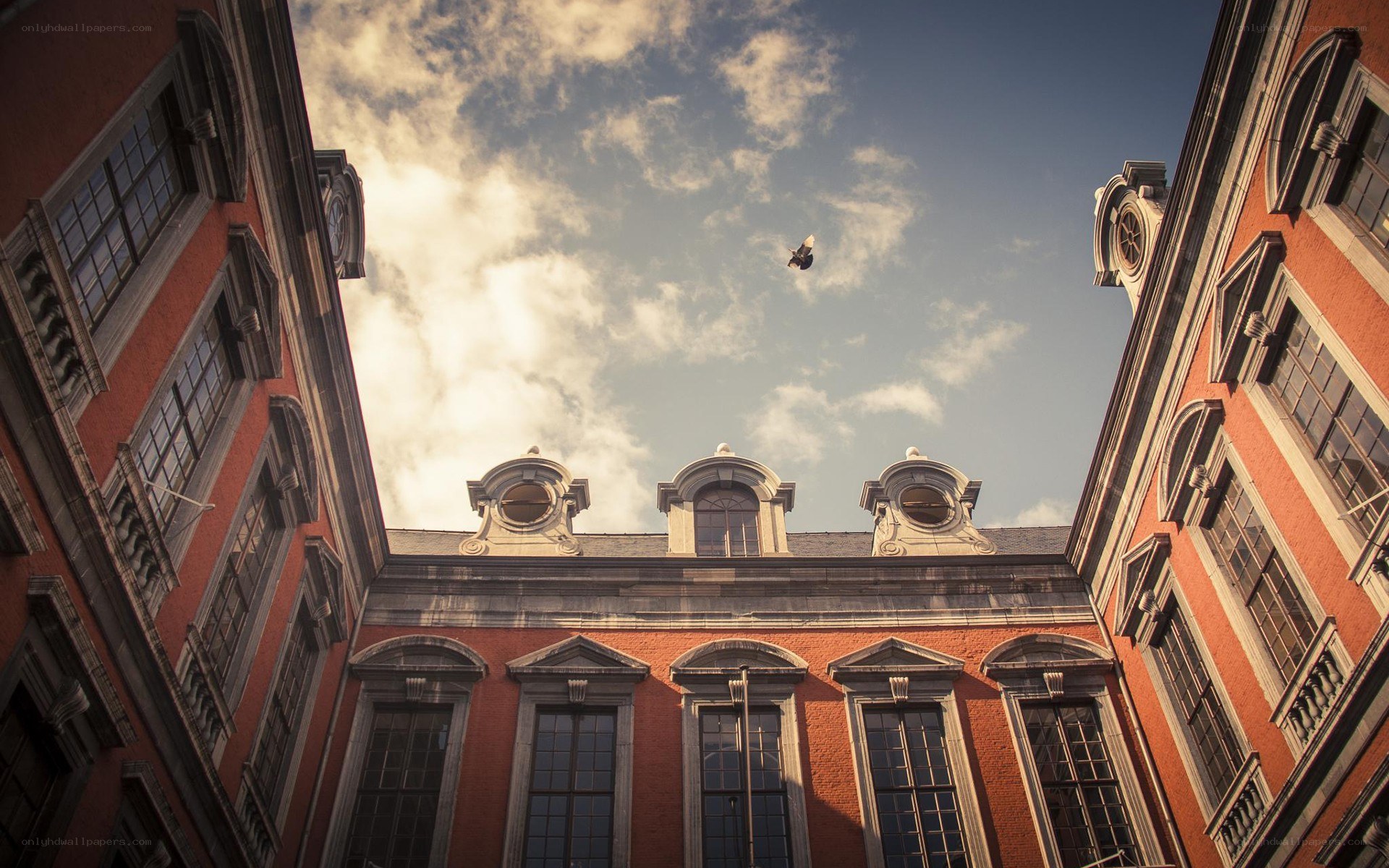 courtyard with birds flying