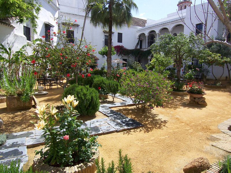 Courtyard with Flowers and Palm Tree