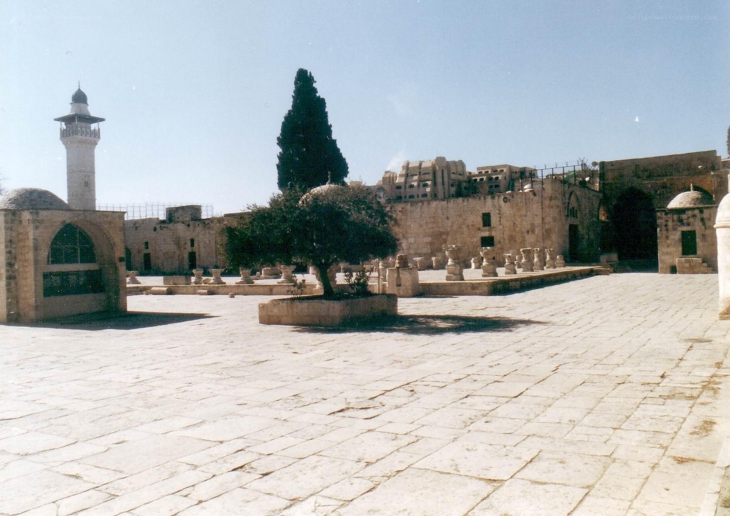 Courtyard with minaret and trees