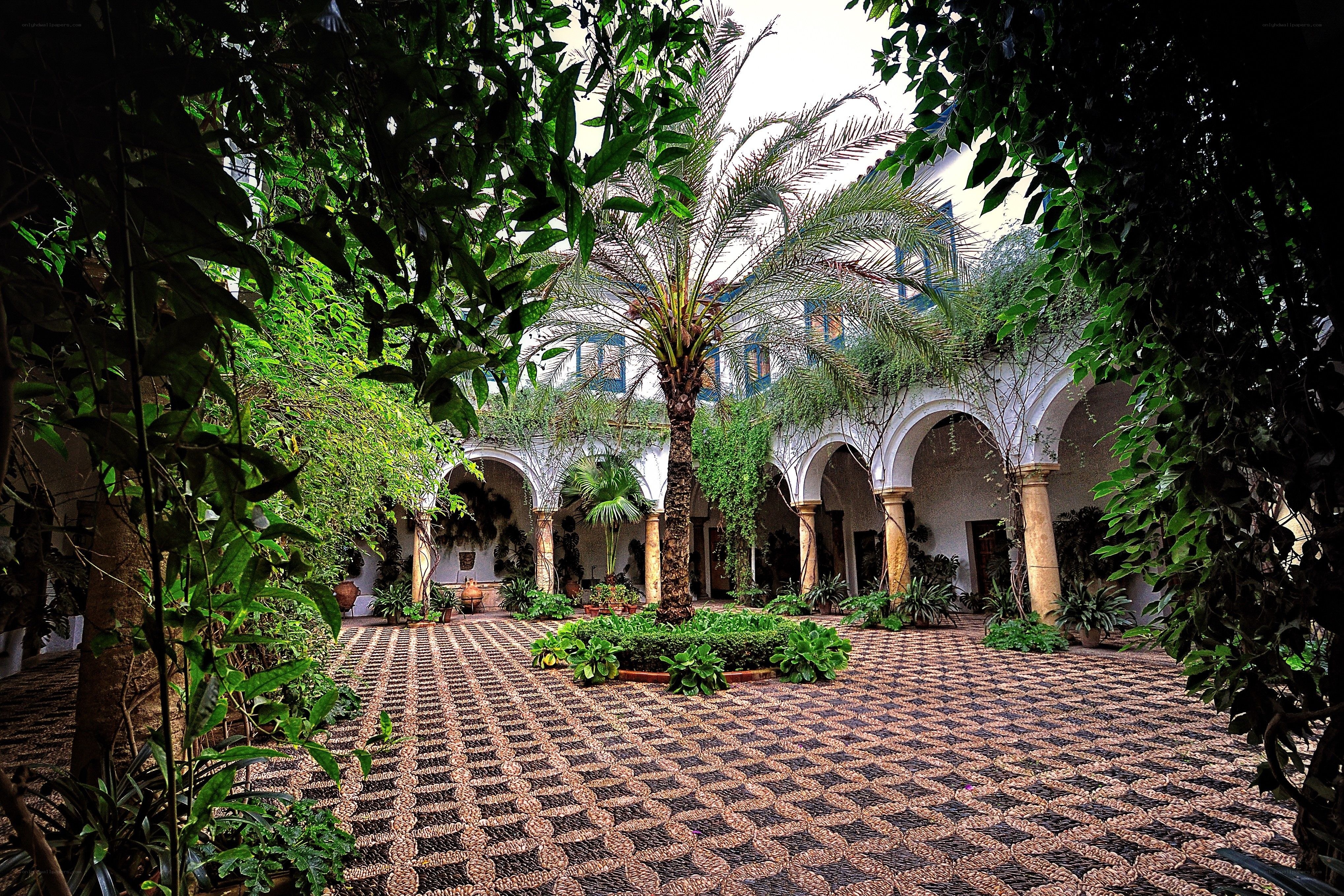 Courtyard with palm tree and arches