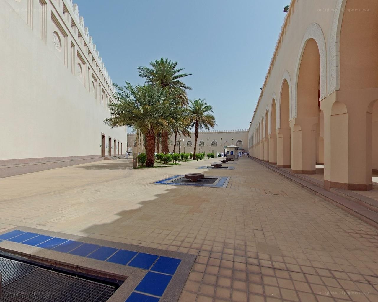 Courtyard with palm trees