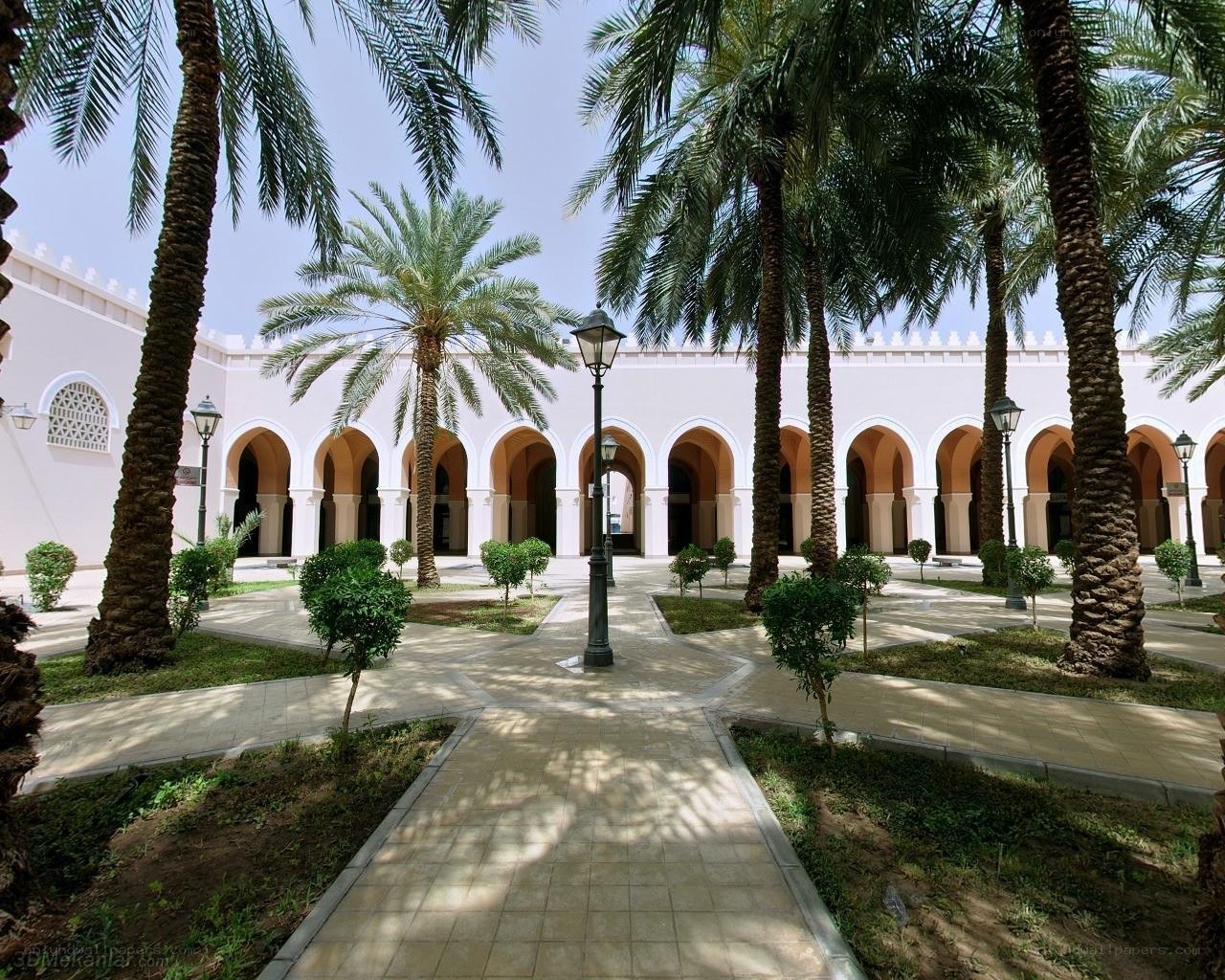 Courtyard with palm trees