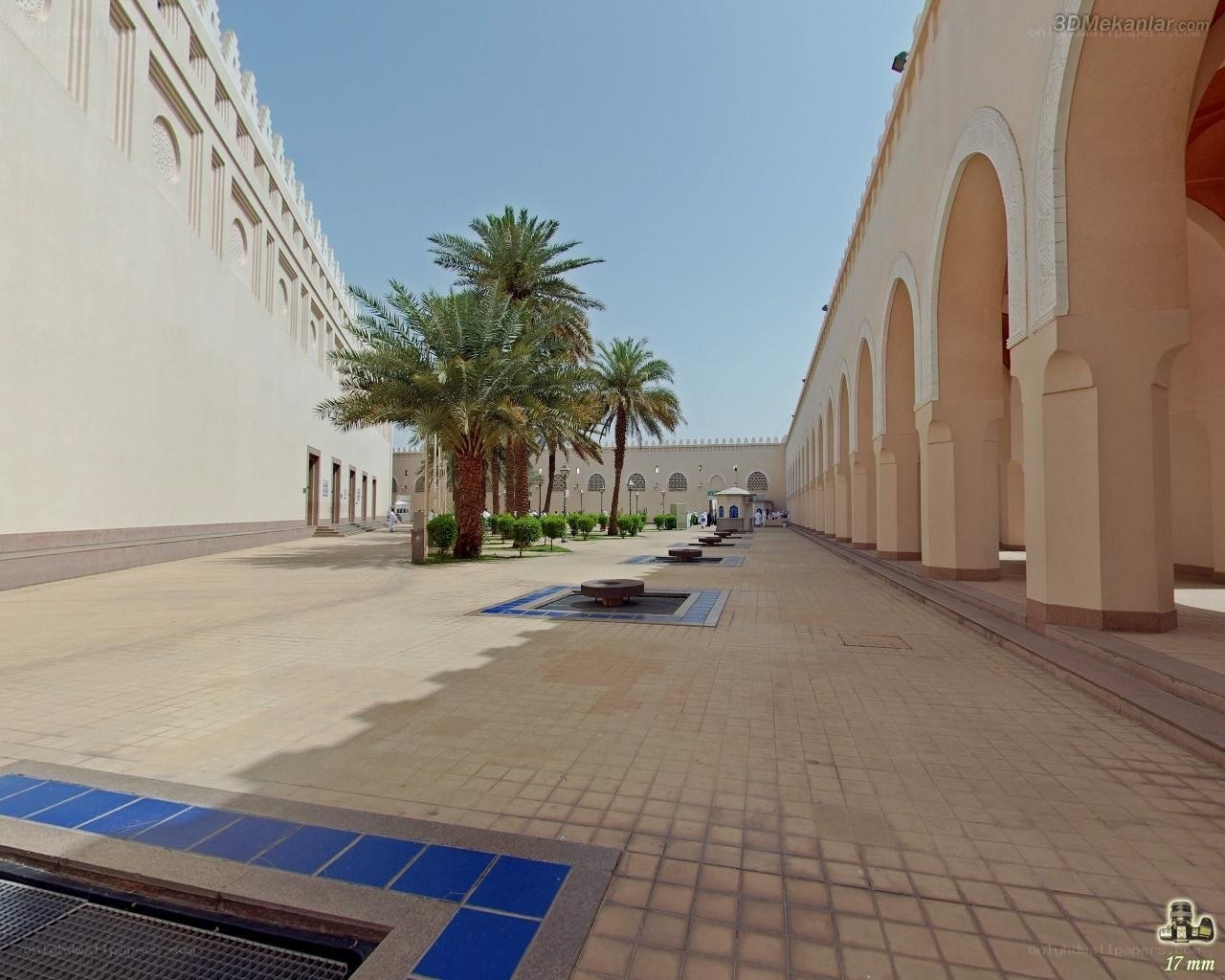Courtyard with palm trees