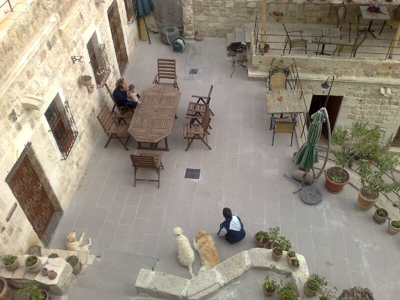 Courtyard with people and dogs
