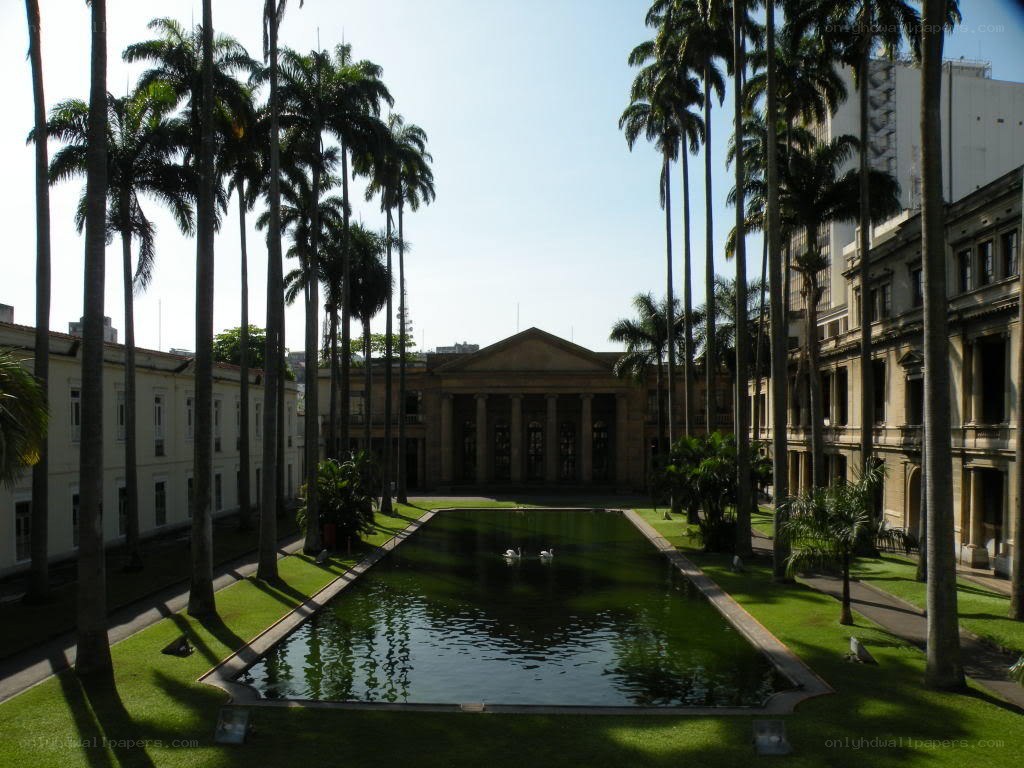 Courtyard with pond and palm trees