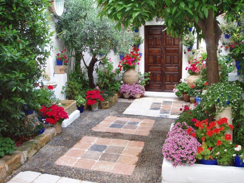 Courtyard with Potted Plants — Green, Serene, Afternoon, Photograph
