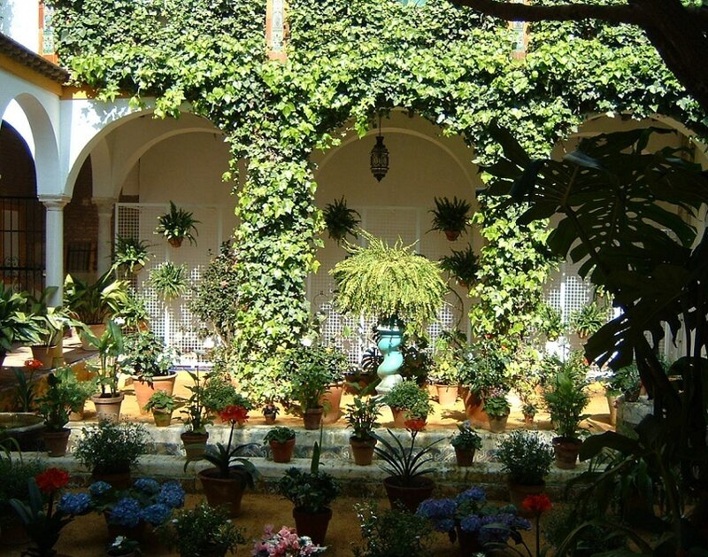Courtyard with Potted Plants — Green, Serene