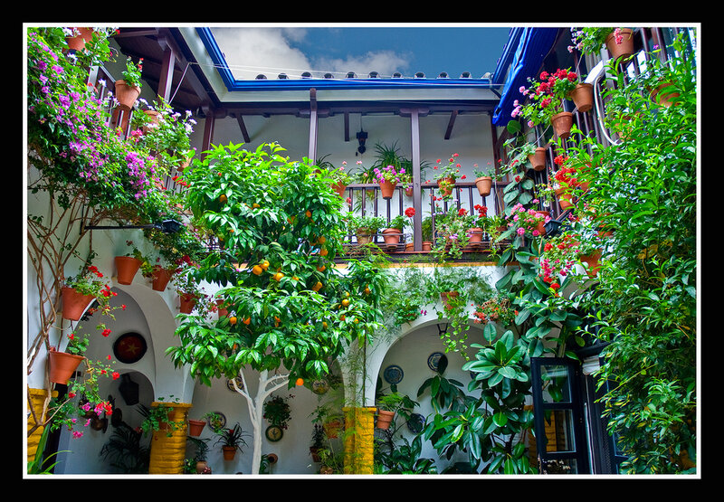 Courtyard with Potted Plants — Green