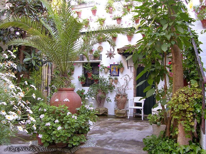 Courtyard with Potted Plants — White