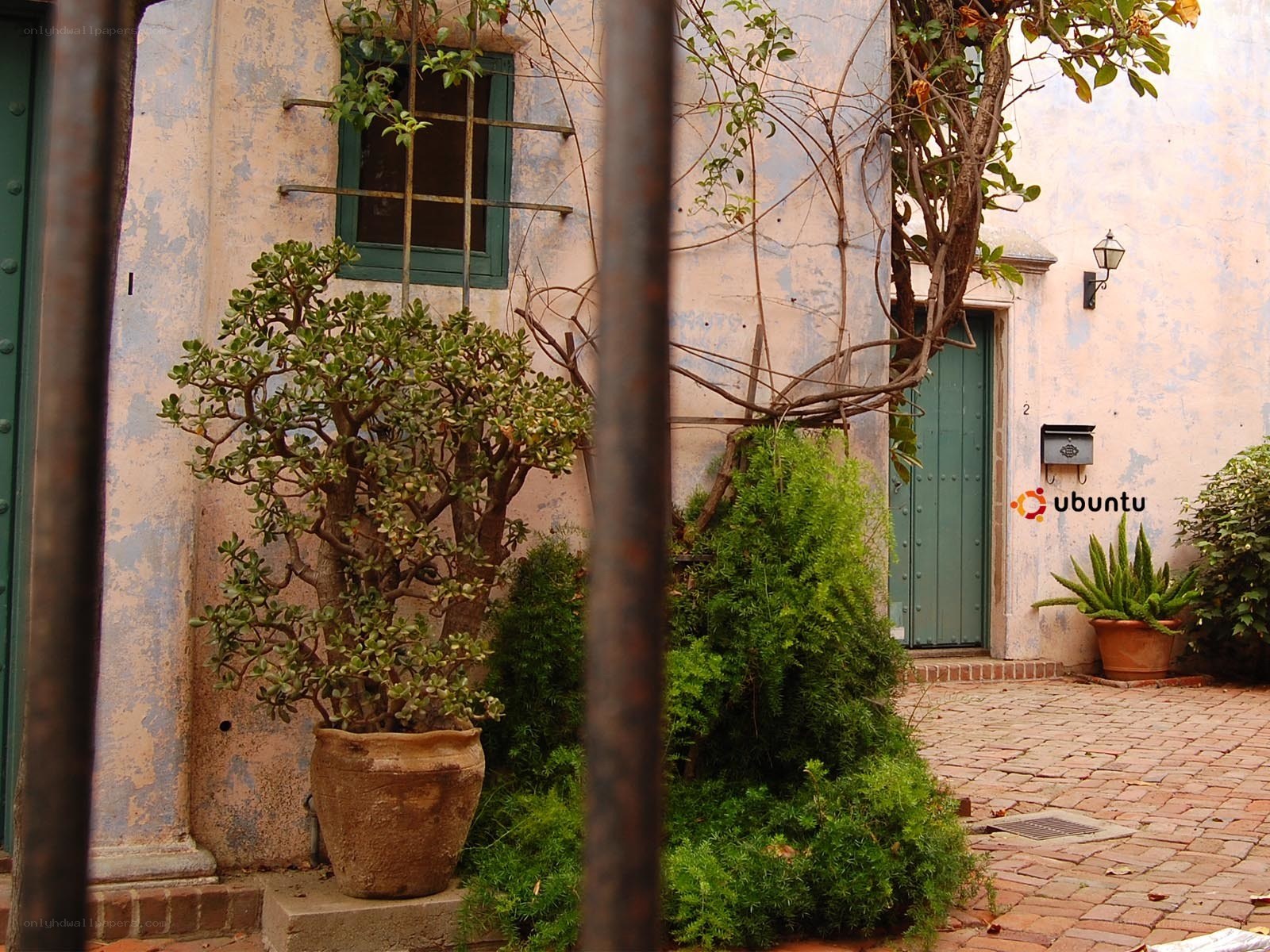 courtyard with potted plants