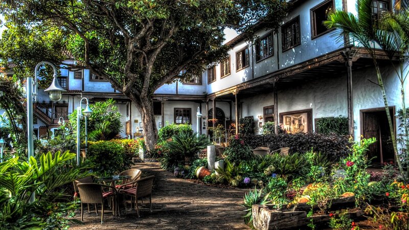 Courtyard with Tables and Plants