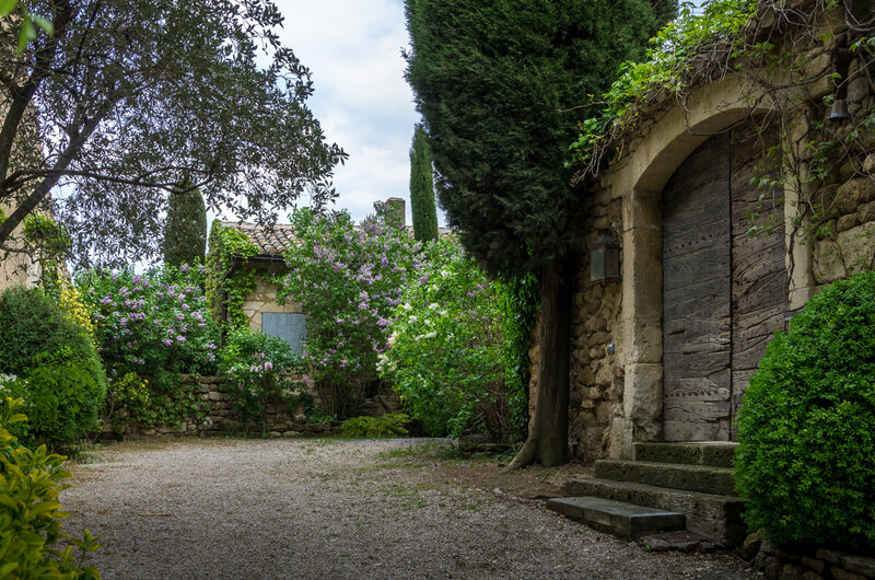 Courtyard with Wooden Door — Green