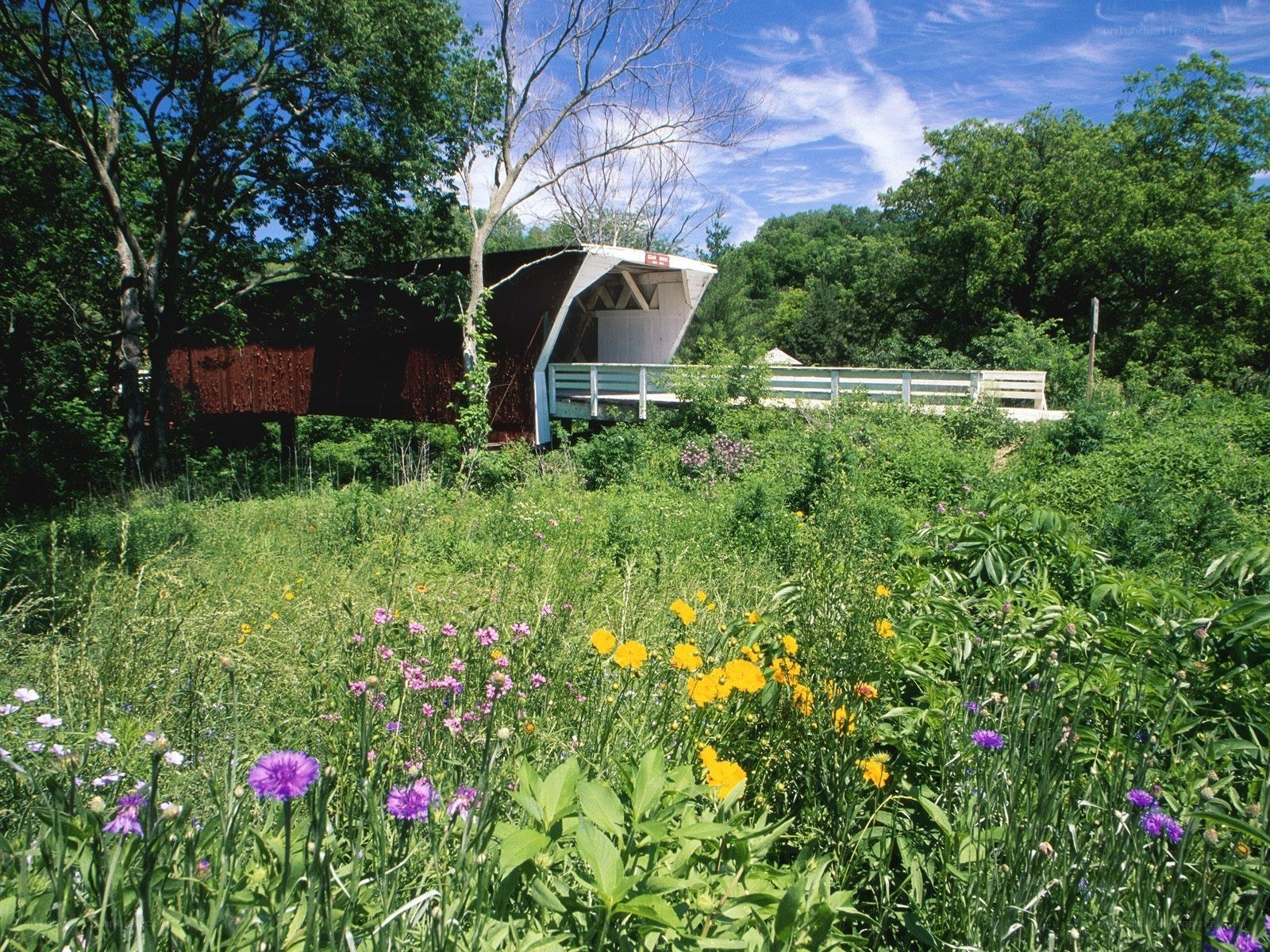 Covered bridge in a wildflower meadow
