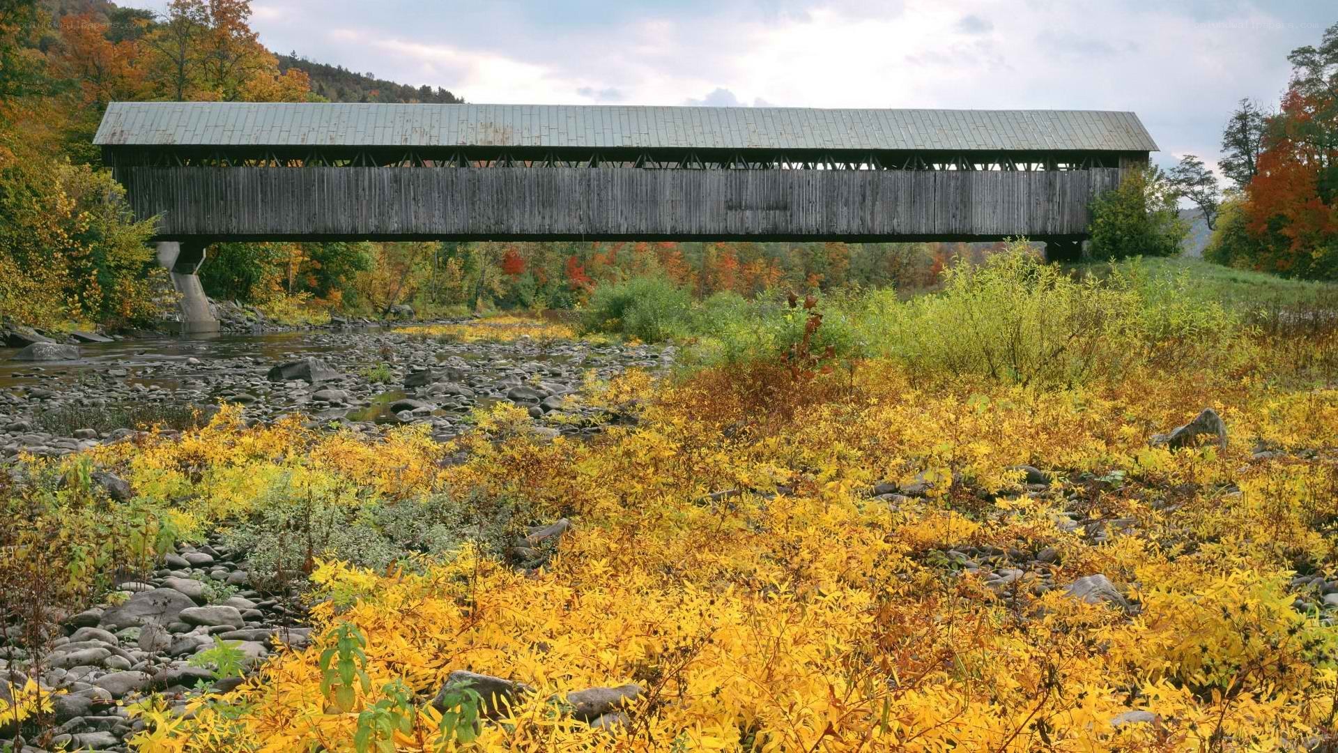 covered bridge in autumn