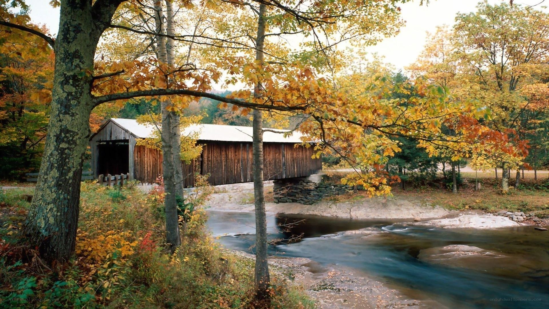 covered bridge in autumn