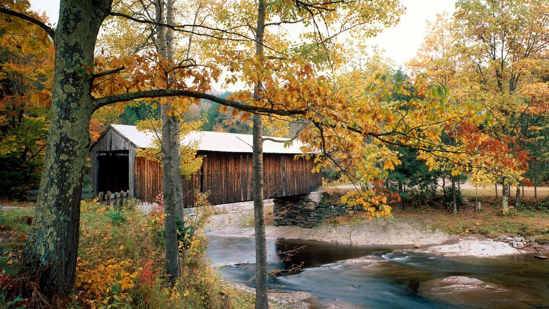 covered bridge in autumn