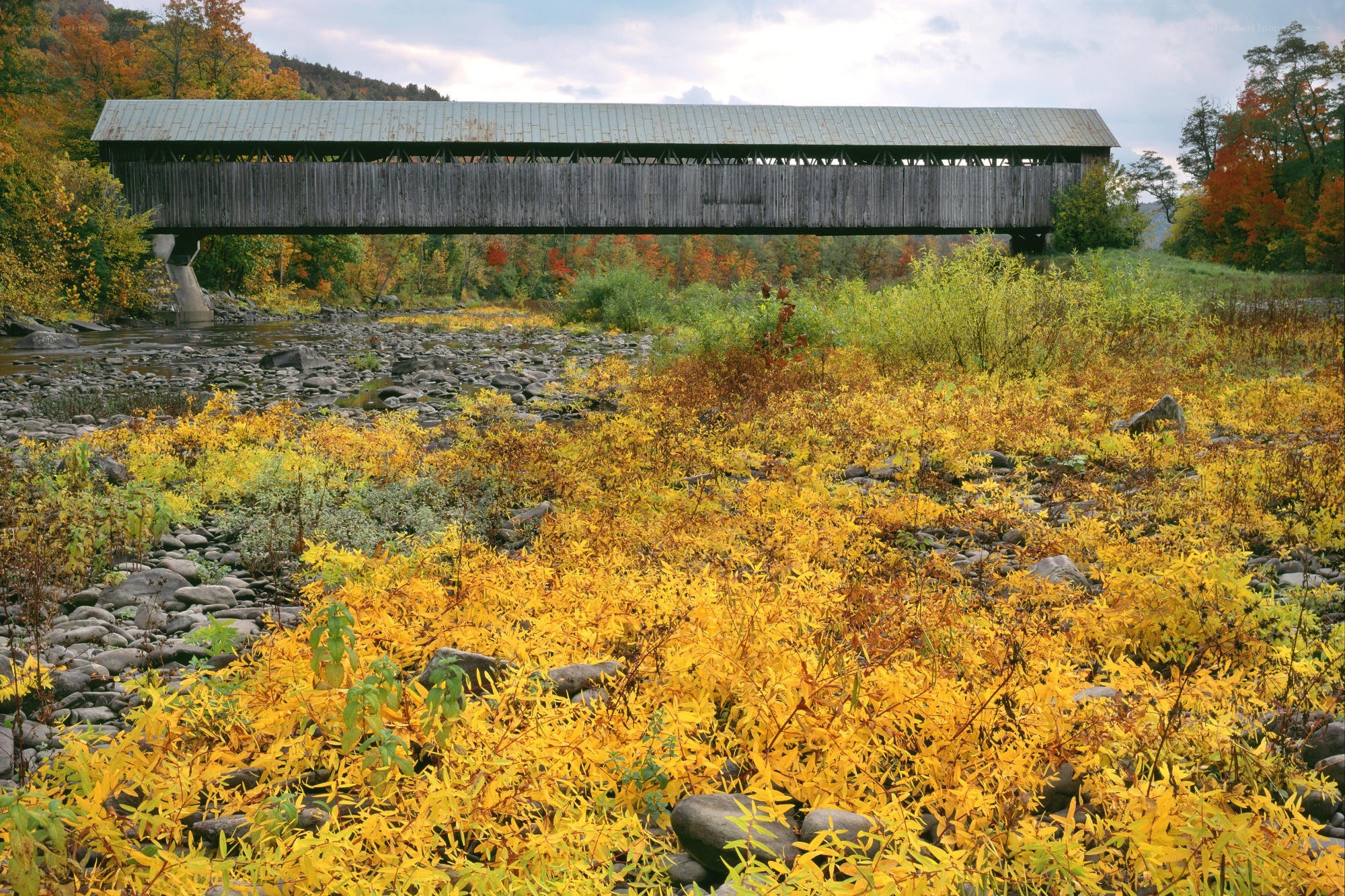 covered bridge in autumn