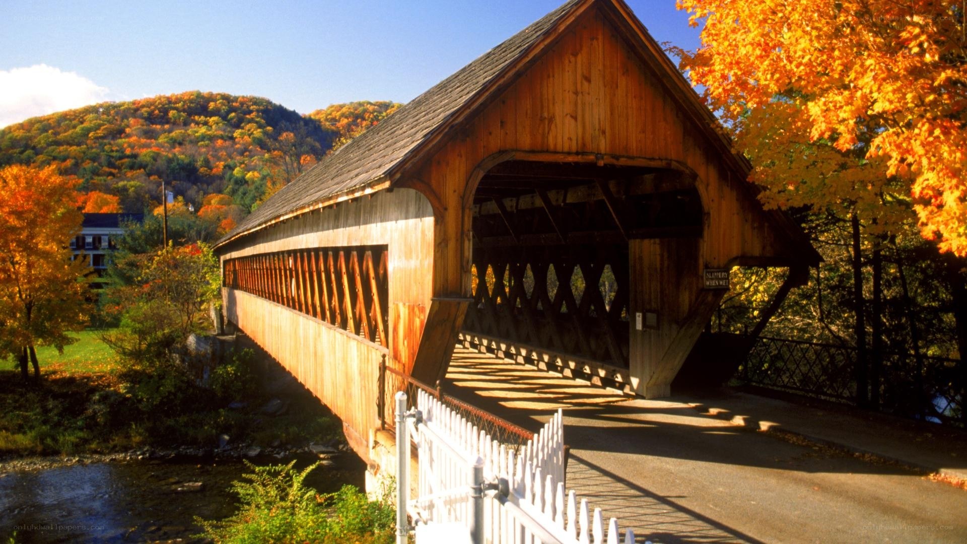 covered bridge in autumn