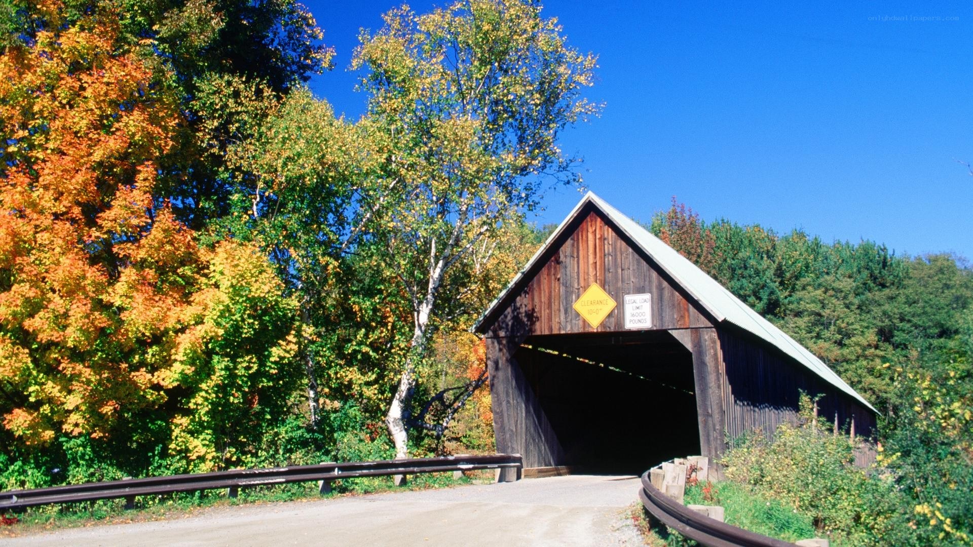 covered bridge in autumn