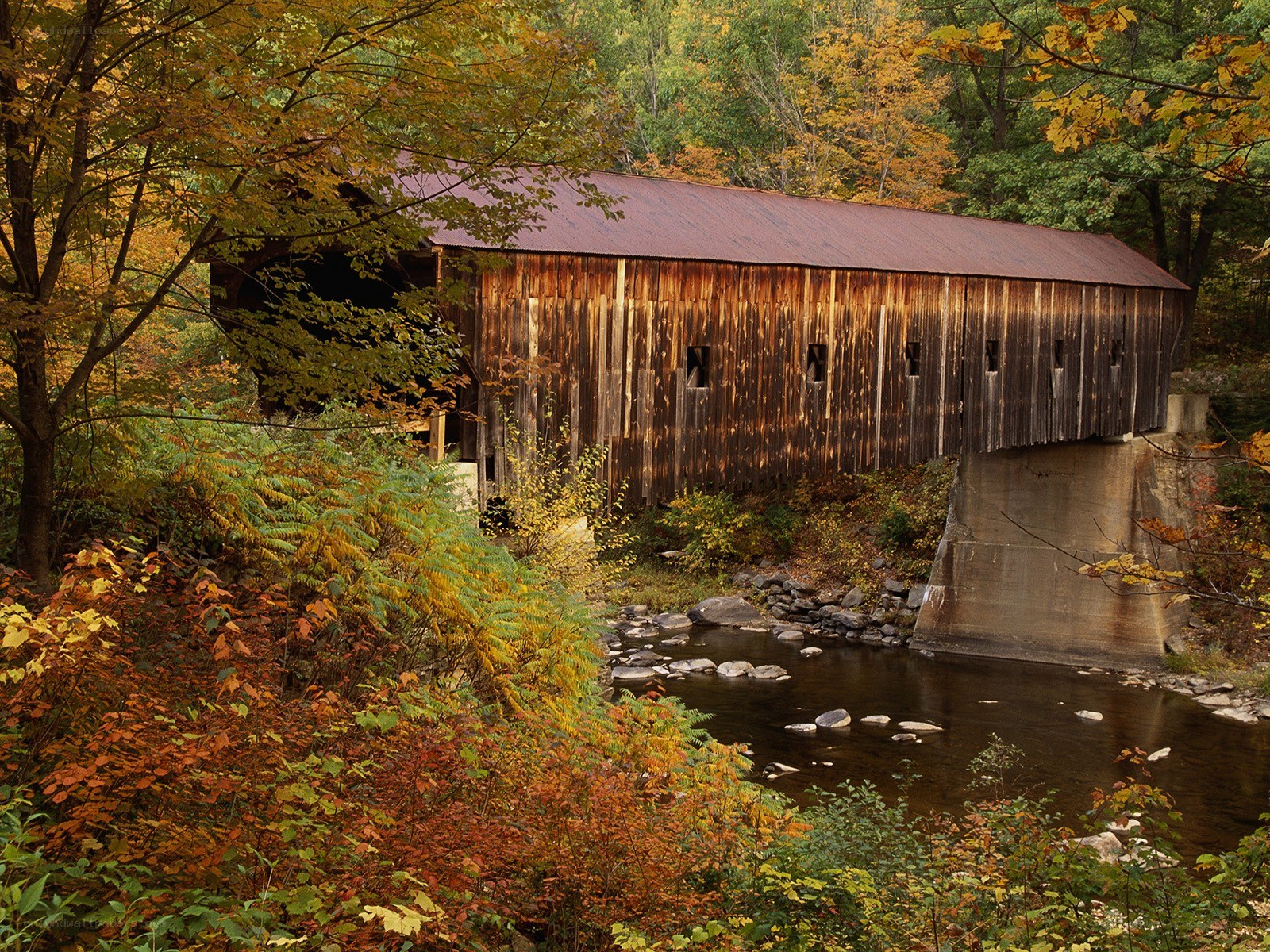 covered bridge in autumn