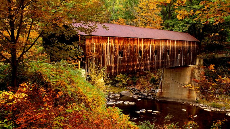 Covered Bridge in Autumn — Brown