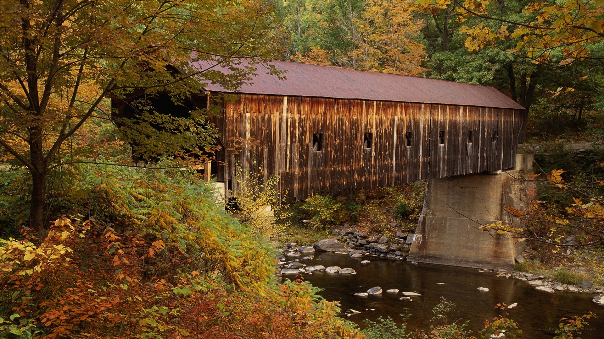 covered bridge in autumn forest