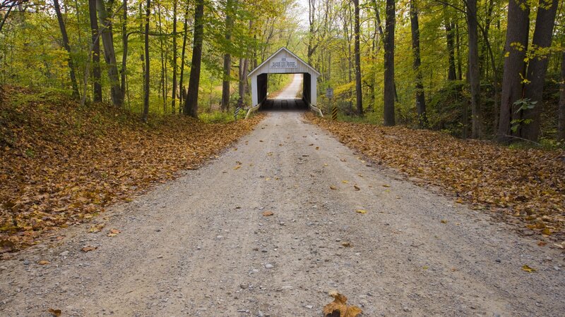 covered bridge in autumn forest