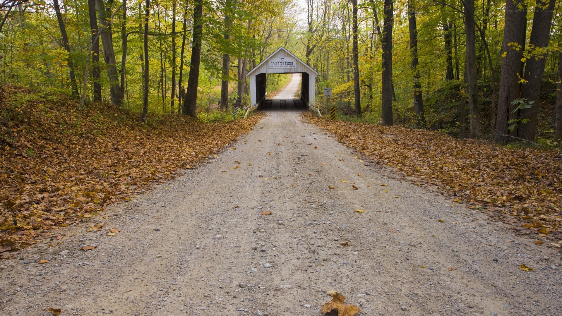 covered bridge in autumn forest