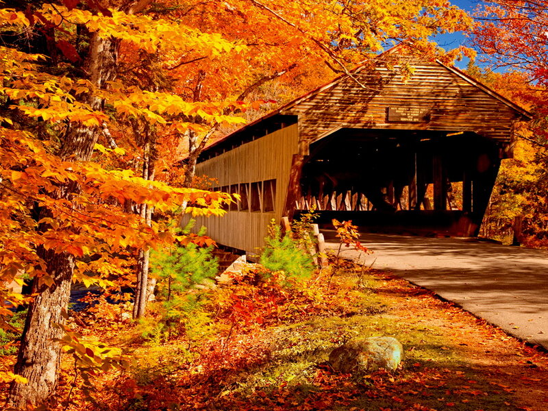 Covered Bridge in Autumn — Orange, Serene, Photograph, Trees, Fallen Leaves