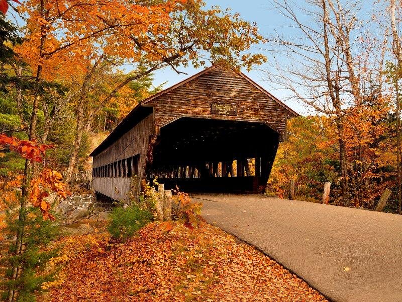Covered Bridge in Autumn — Orange, Serene, Photograph, Trees