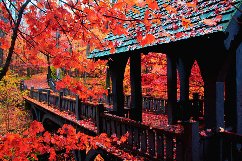 Covered Bridge in Autumn — Red, Serene, Photograph, Fall Foliage