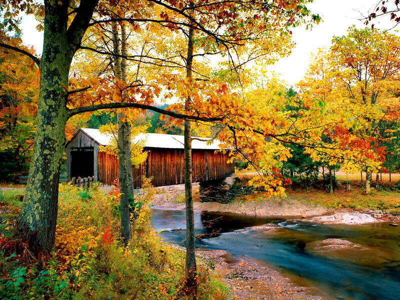 Covered Bridge in Autumn — Yellow, Serene, Photograph