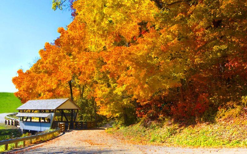 Covered Bridge in Autumn — Yellow, Serene
