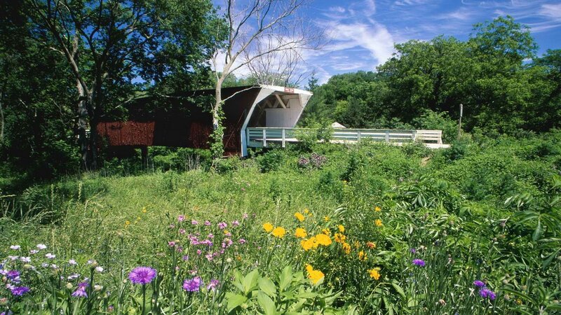 Covered Bridge in Field